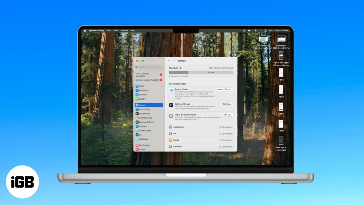 Optimize storage on mac
