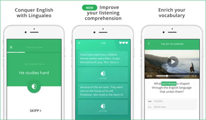 English with Lingualeo Grammar iPhone and iPad App Screenshot