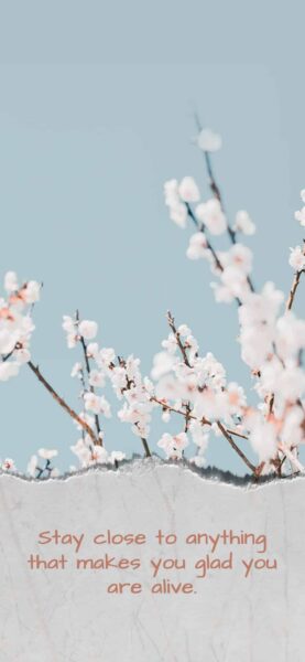 Inspirational quotes iphone wallpaper 14 scaled 1