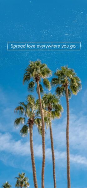 Positive quotes iphone wallpaper 3 scaled 1