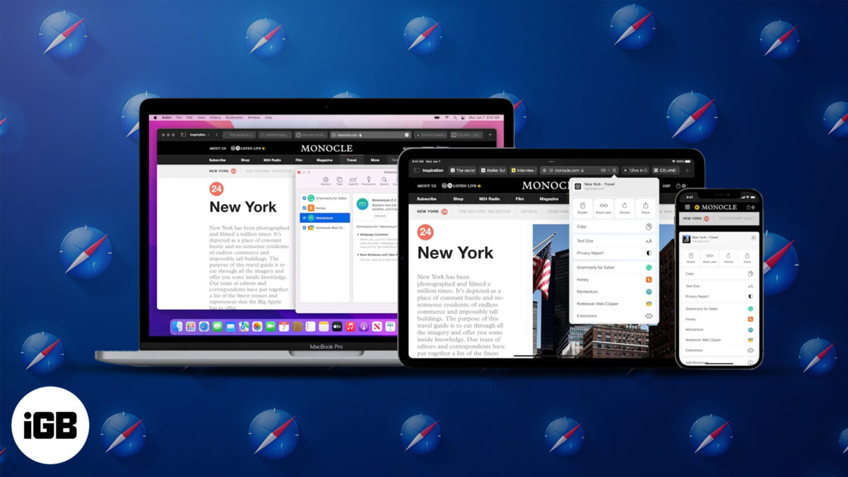 How to use safari extensions on iphone ipad and mac