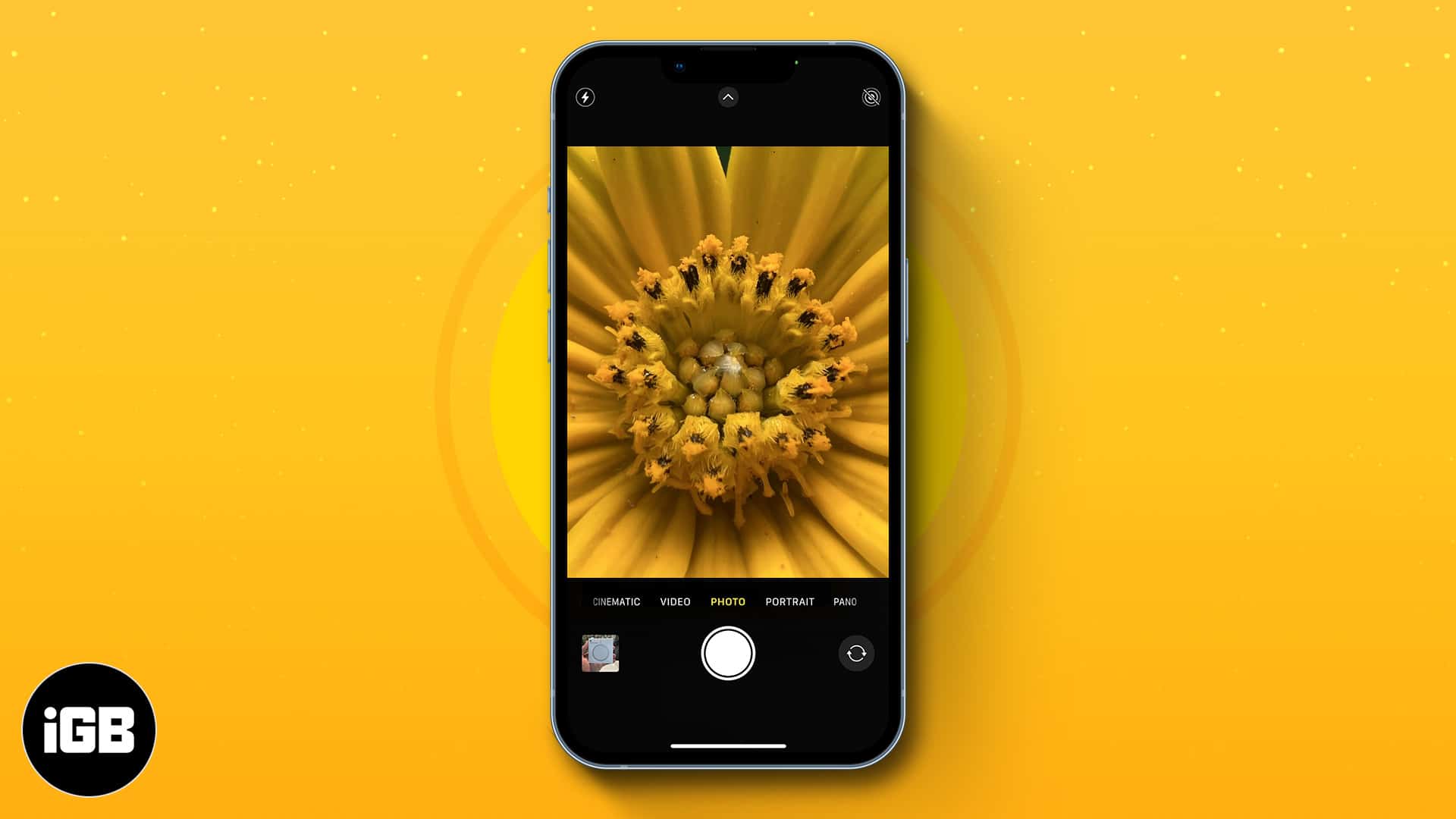 Take macro photos and videos with your iPhone.