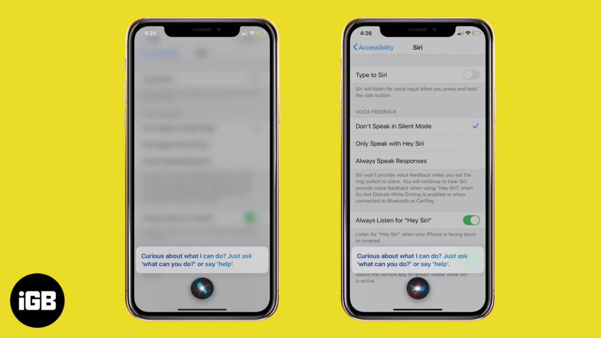 How to make full screen siri on iphone