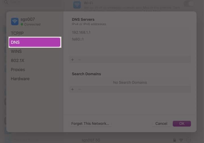 Click DNS in macOS System Settings.