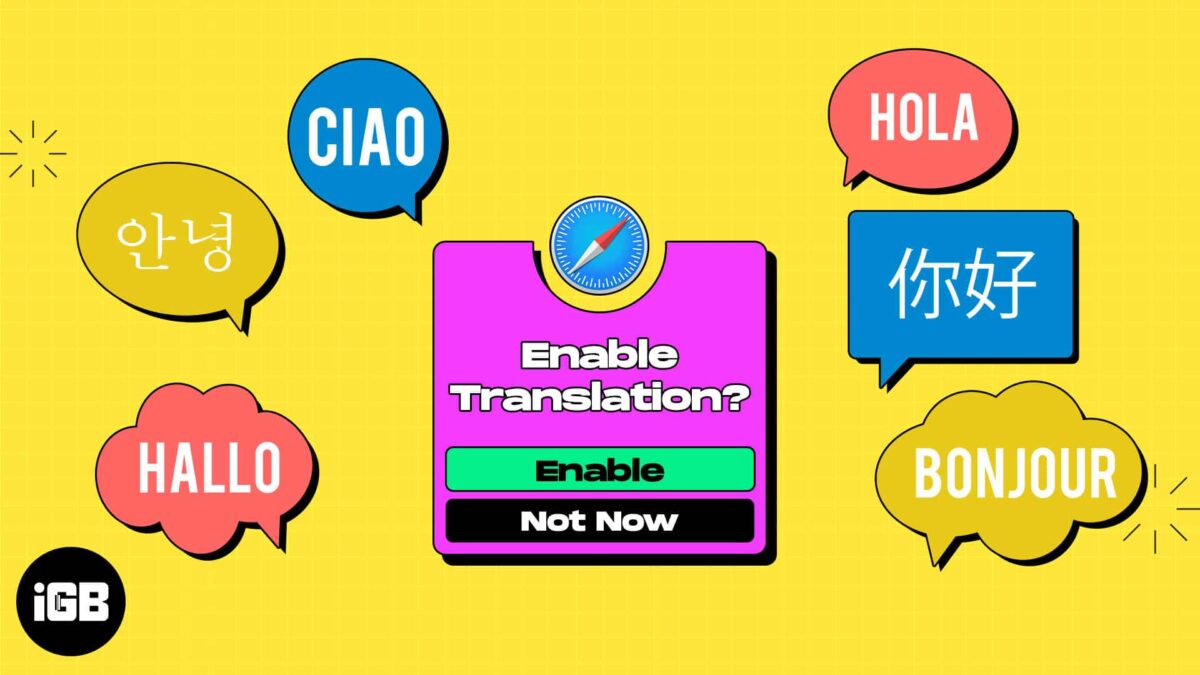 How to set up and use translation in safari on mac