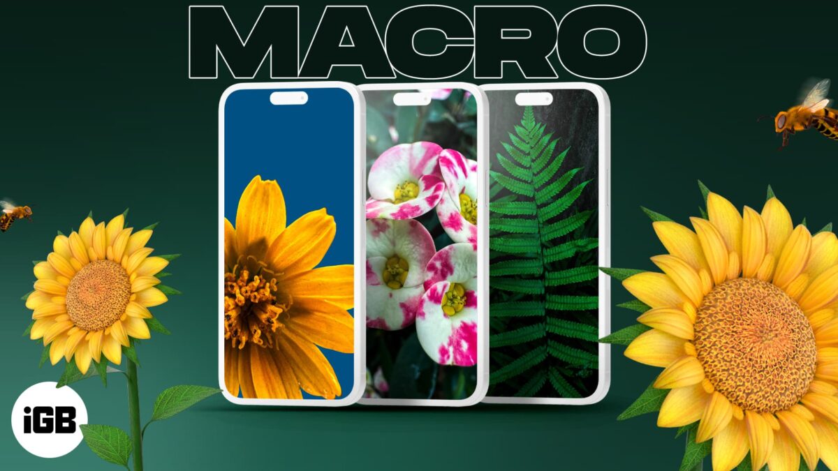 Macro photography wallpapers for iphone
