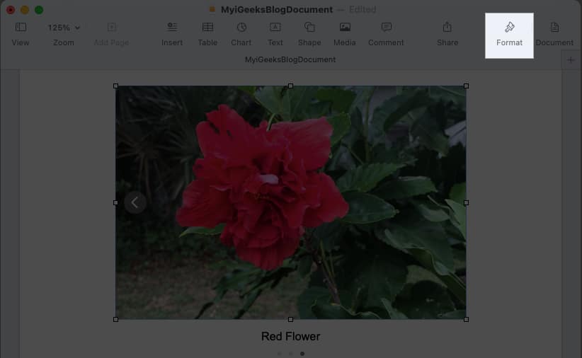 Click the Format button for additional options depending of image you add