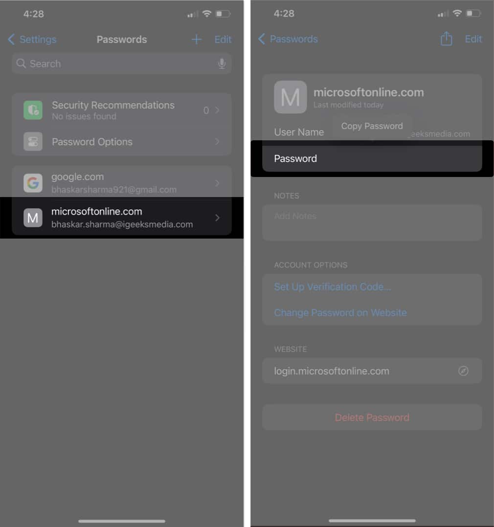 Finding a saved password in the iOS Settings app.