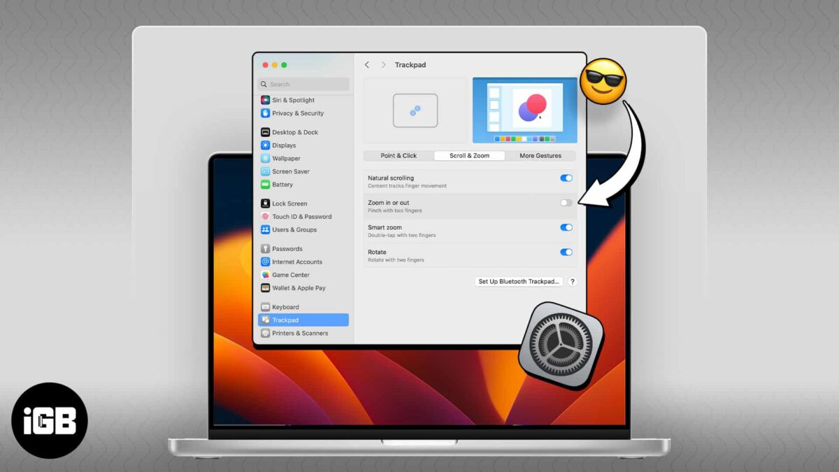 How to turn off pinch to zoom gesture on mac