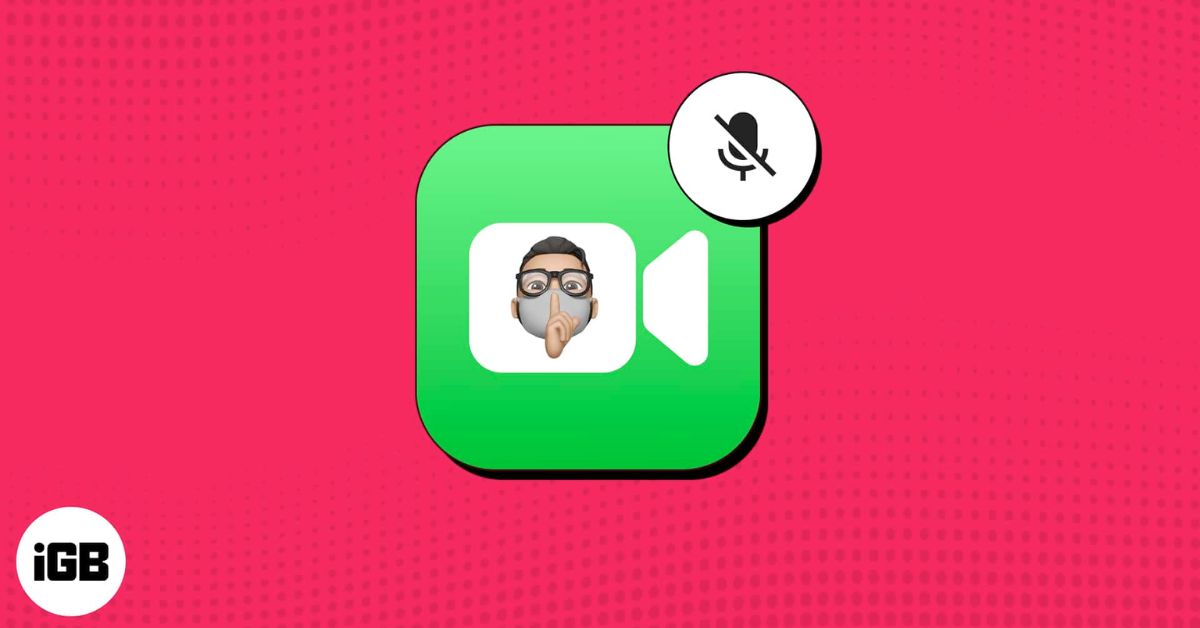 Mute someone on FaceTime