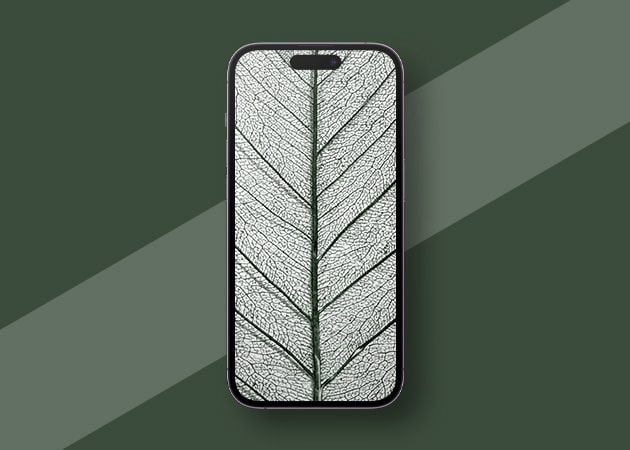 Zoomed-leaf-HD-minimalist-iPhone-wallpaper