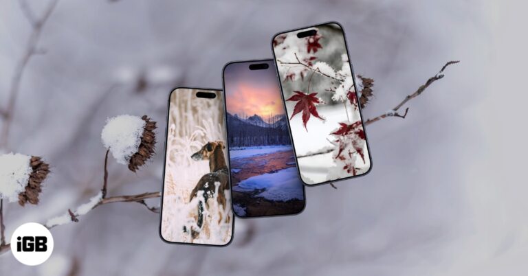 25+ Aesthetic Winter Wallpapers for iPhone in 4K (Free Download) – iGeeksBlog Aesthetic Winter Wallpapers for iPhone