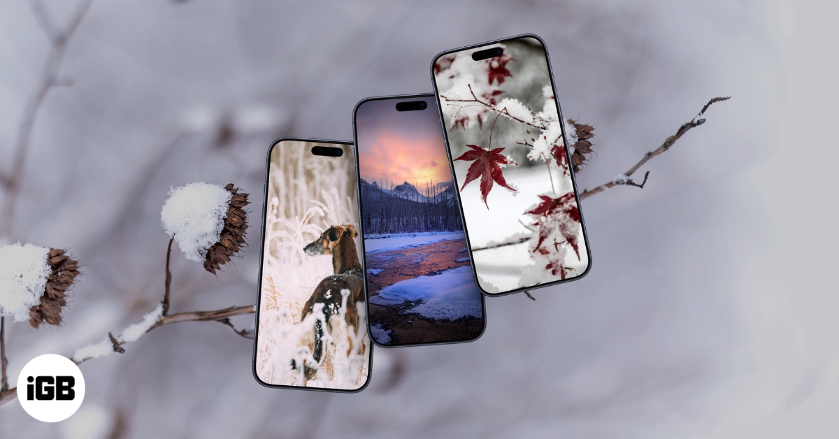 Aesthetic Winter Wallpapers for iPhone