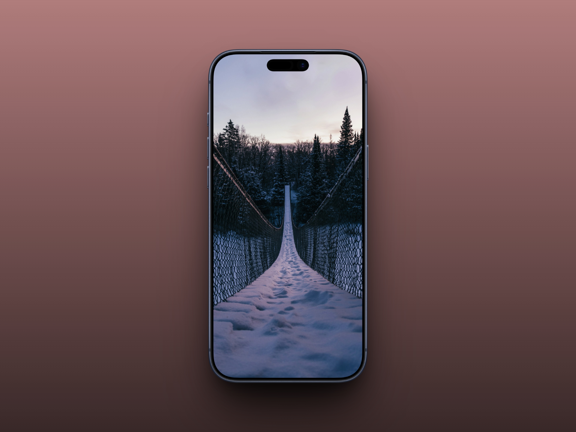 Snow-Covered Suspension Bridge