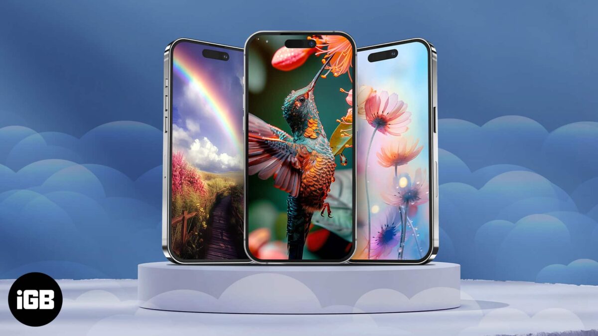 Spring wallpaper for iphone