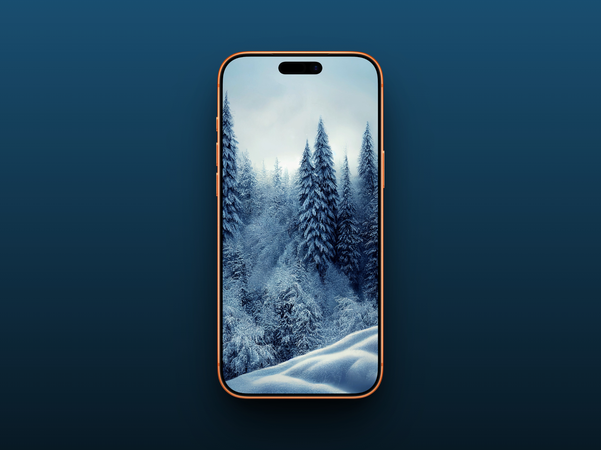 Winter Forest iPhone Wallpaper