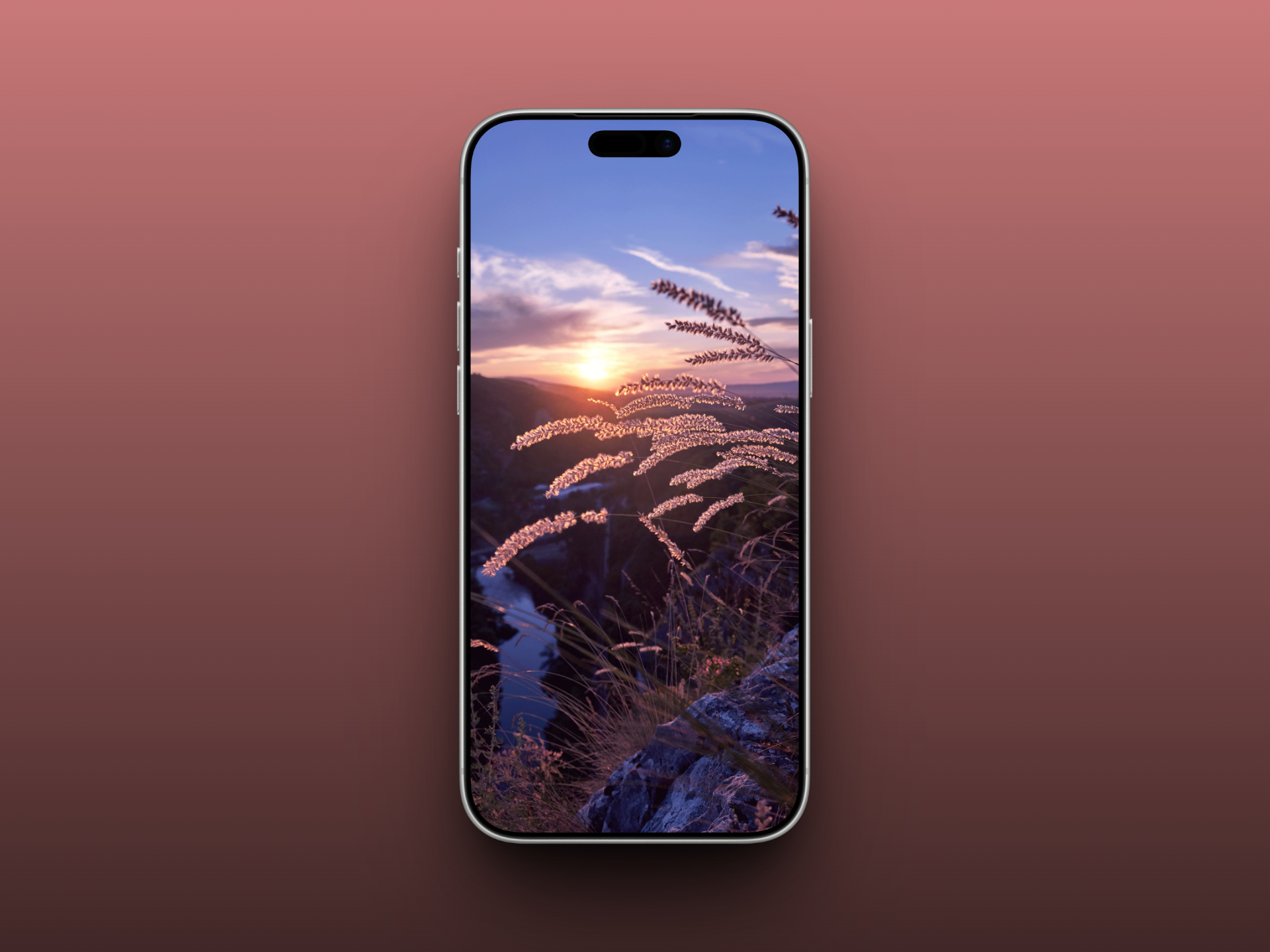 Winter Sunrise Grasslands