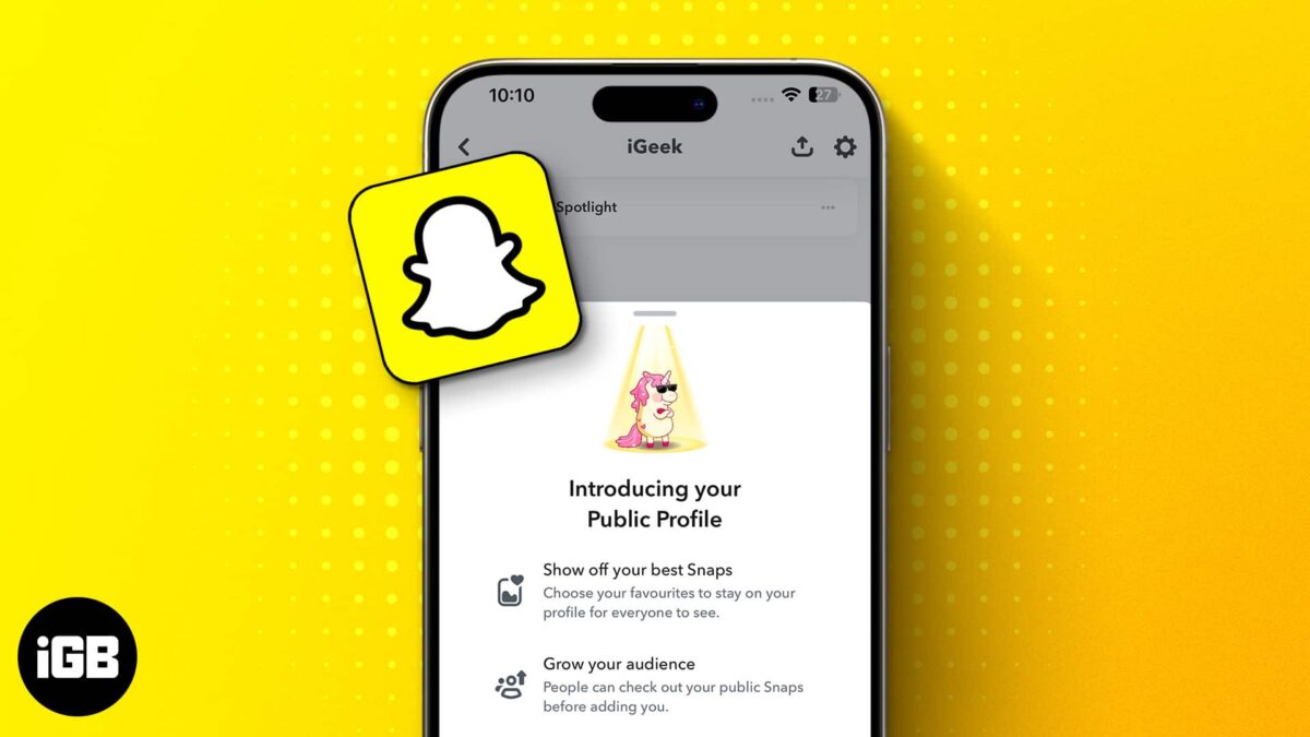 How to make a public profile on snapchat