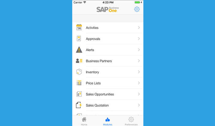 Sap business one iphone app screenshot