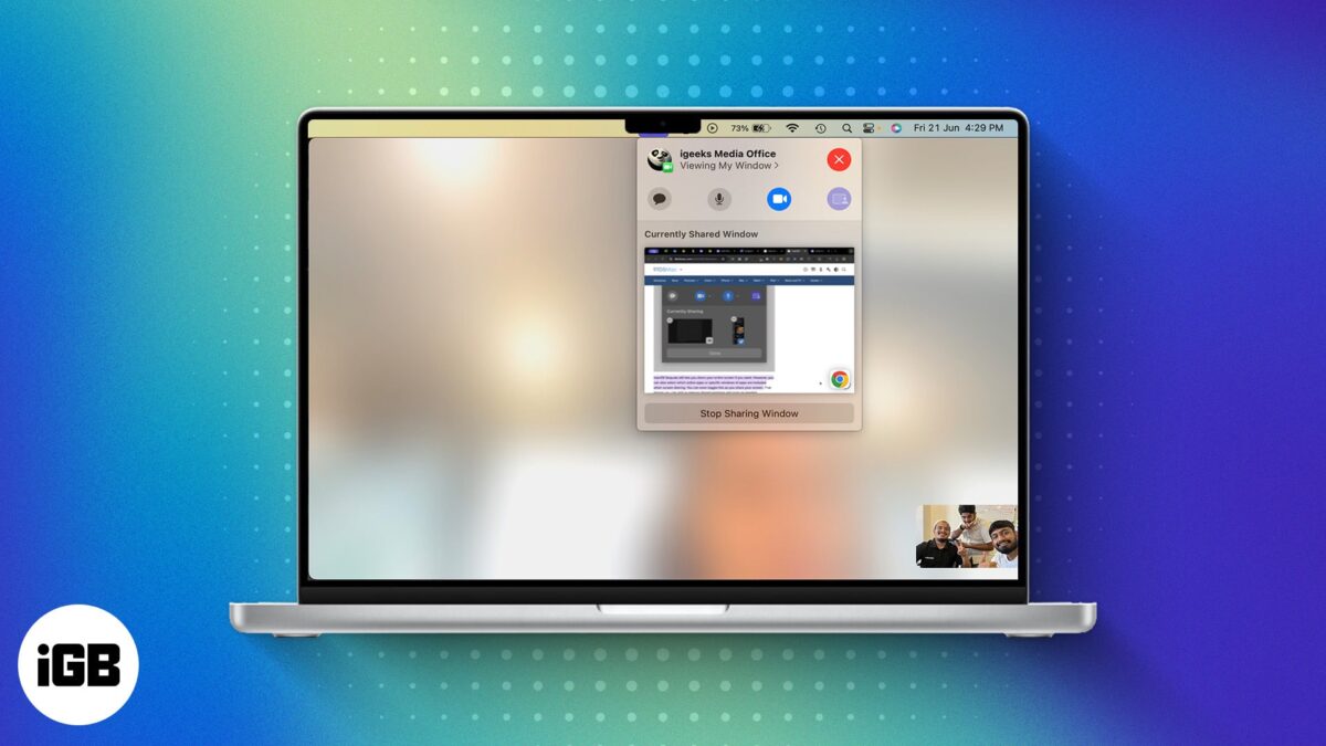 How to use presenter preview and video call background replacements on mac