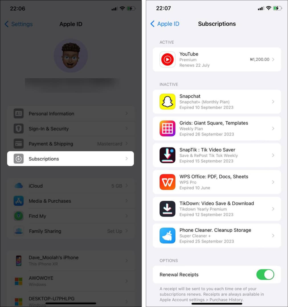 Subscriptions page on iPhone Settings.