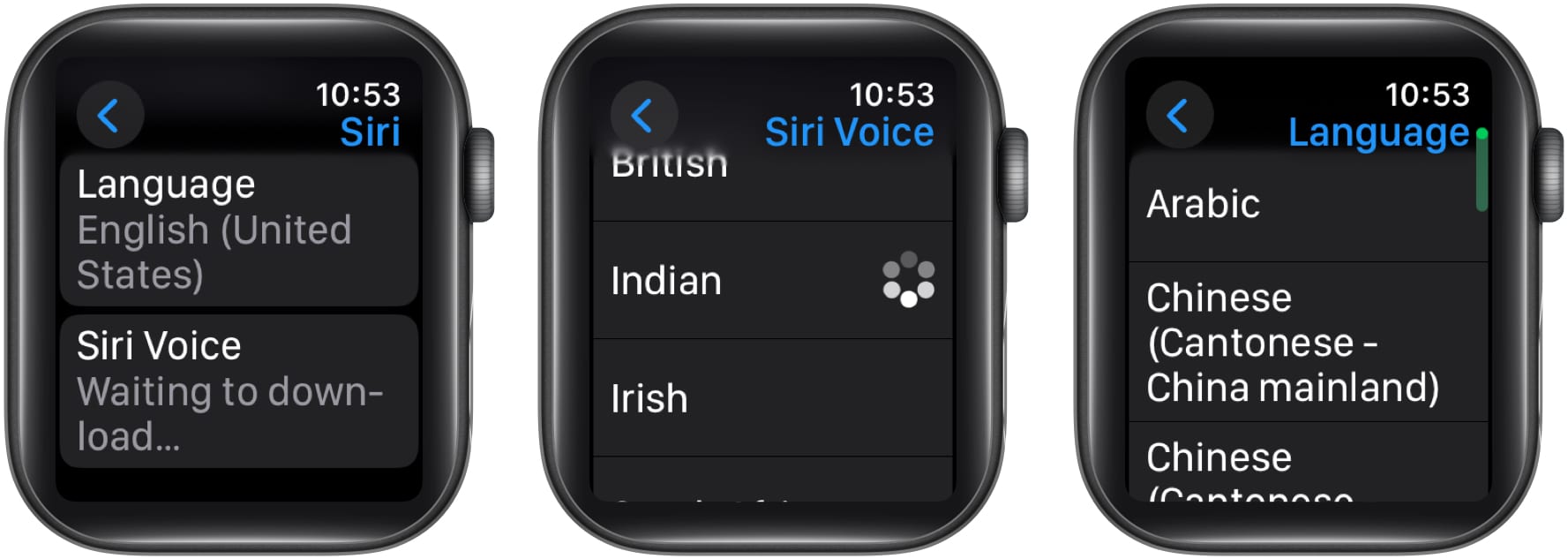 Changing Siri voice and language on an Apple Watch.