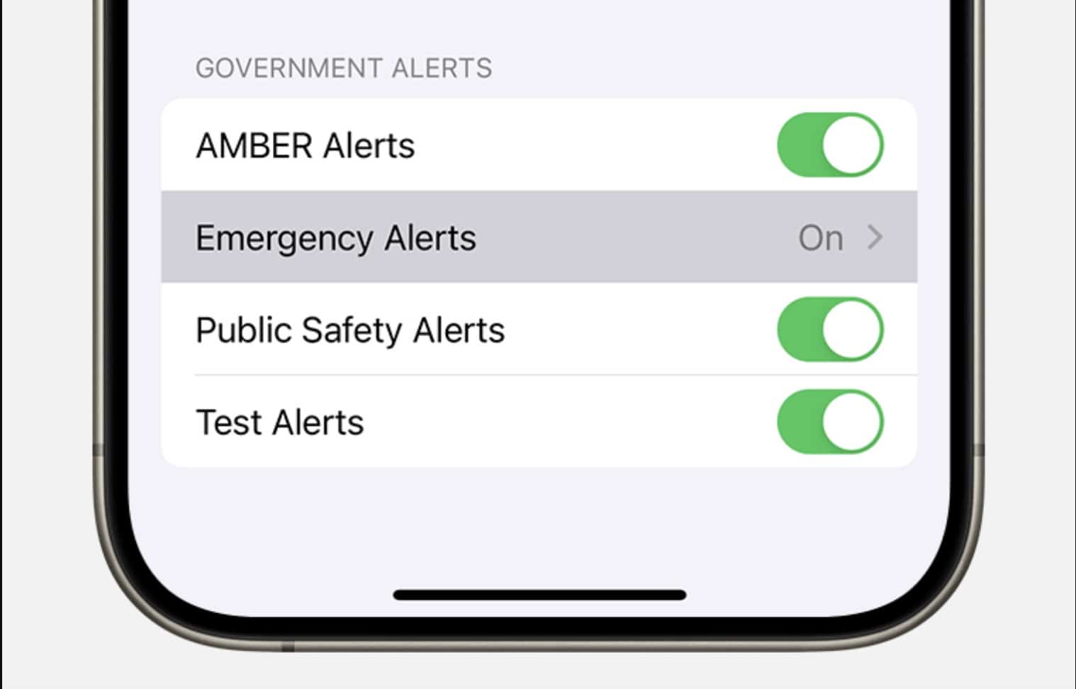 Government Alerts section on the Notifications page in the iPhone Settings app.