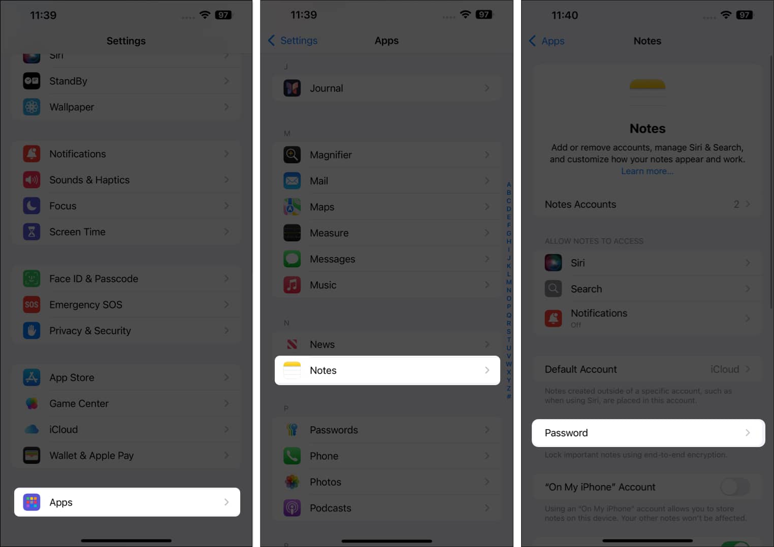 Accessing Password options for Apple Notes in iOS Settings.