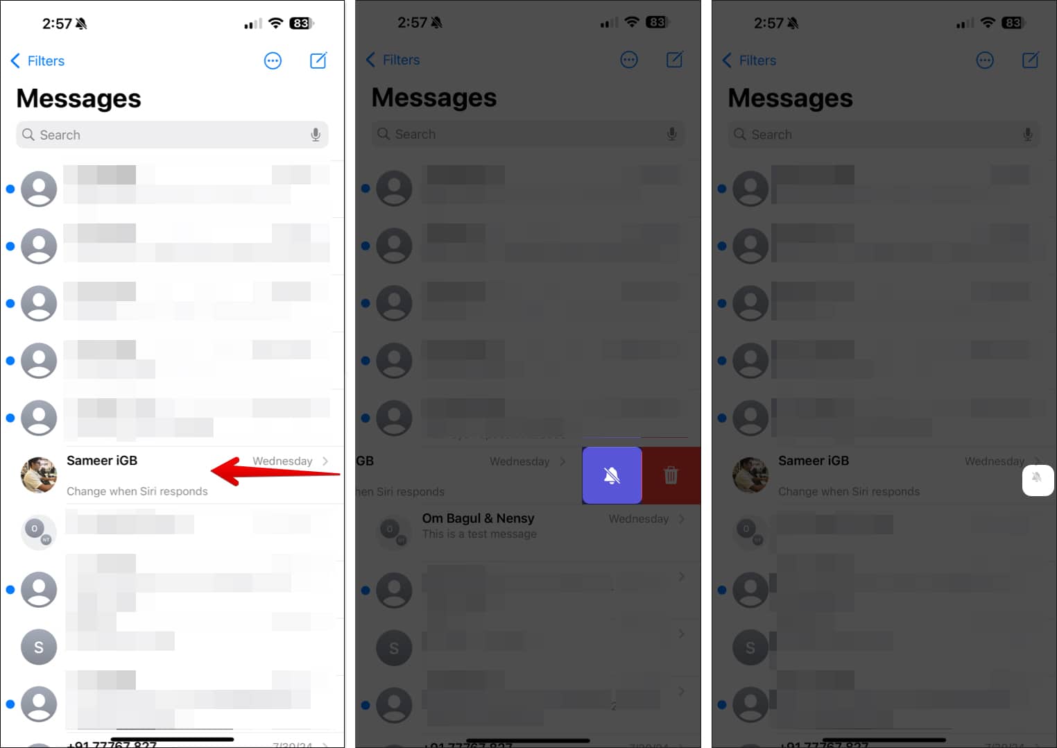 Silencing notifications from a conversation in the Messages app on an iPhone.