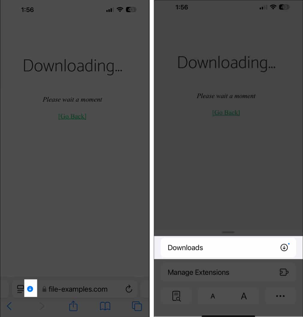 Accessing the Downloads option in Safari on an iPhone.