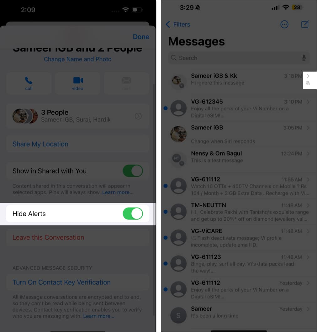 Toggling on the Hide Alerts option for an iMessage group chat on an iPhone.