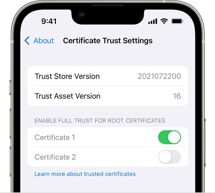 Manually trusting a certificate in iPhone Settings.