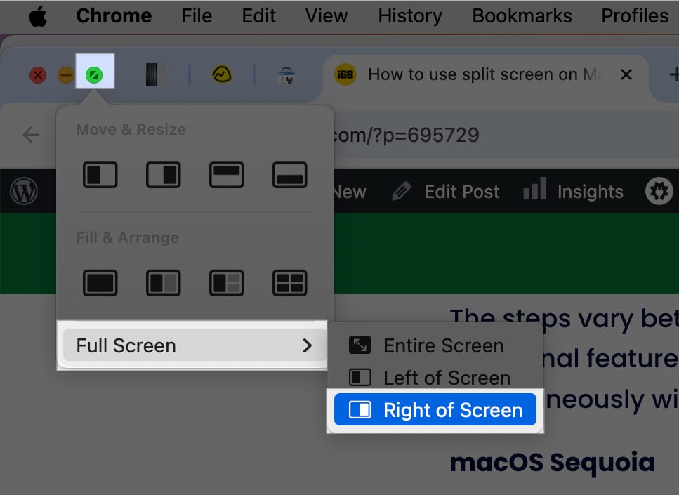 Full Screen options for an app window on macOS Sequoia.