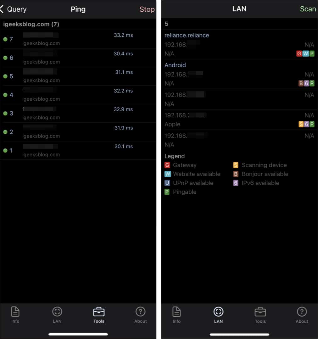 Network Analyzer: net tools for iPhone.