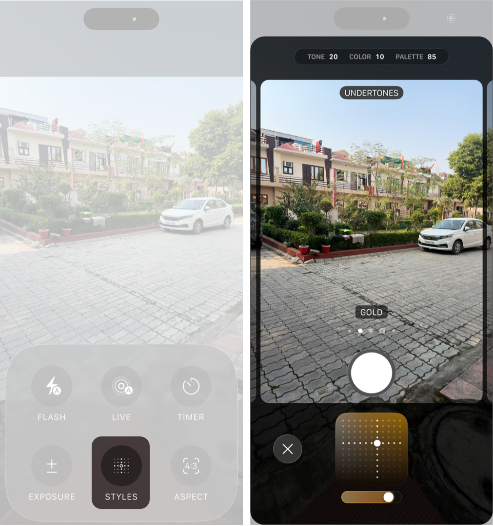 Apply a Photographic Style While Taking Photos