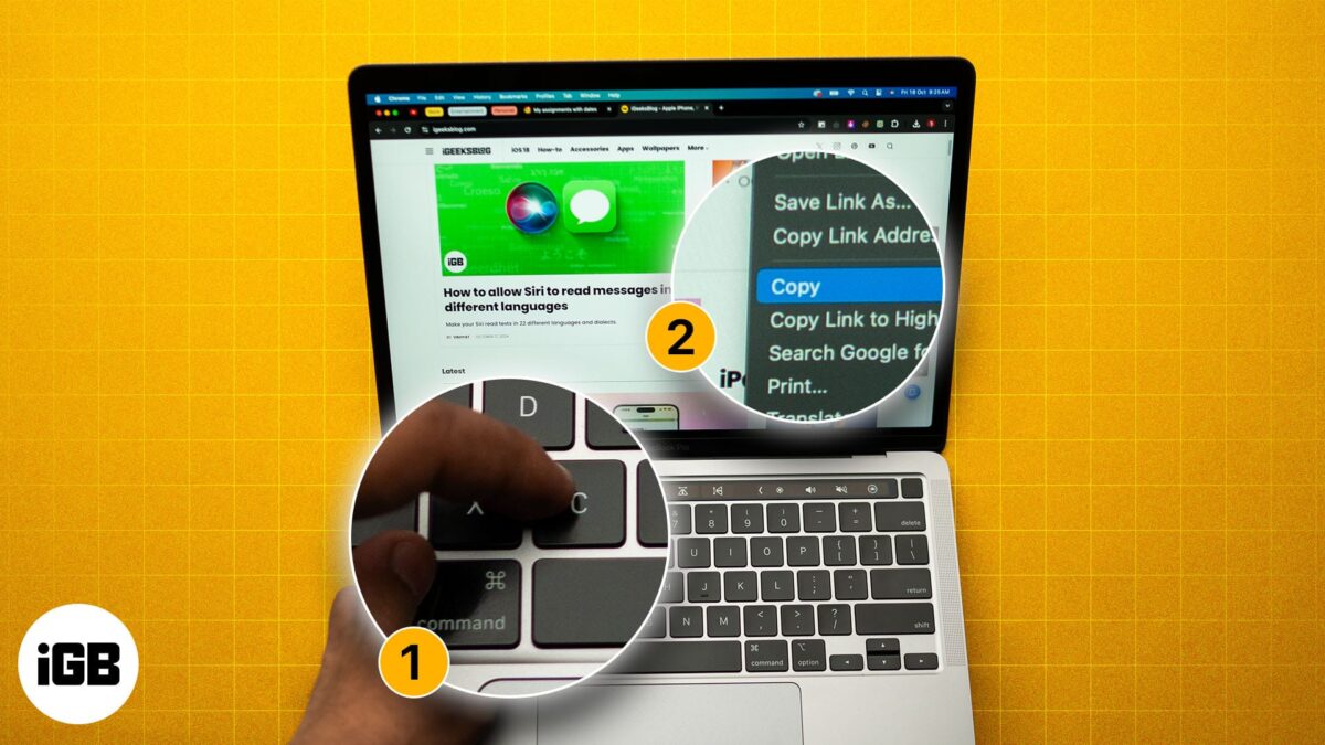How to copy and paste on mac