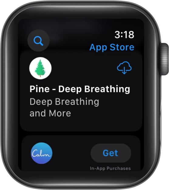 Finding and downloading an app from the Apple Watch App Store.