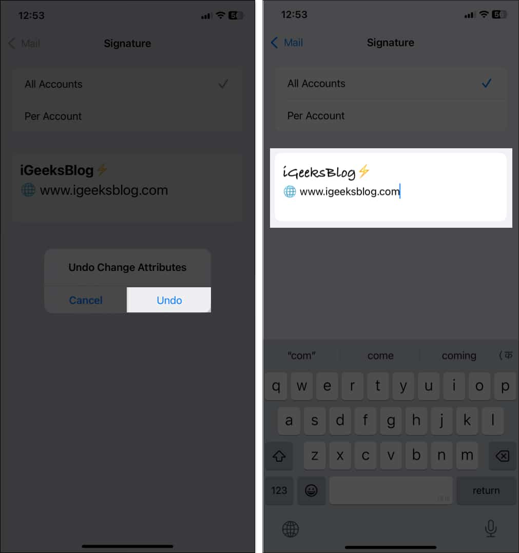 Shaking iPhone and selecting Undo to undo changes to the custom signature.