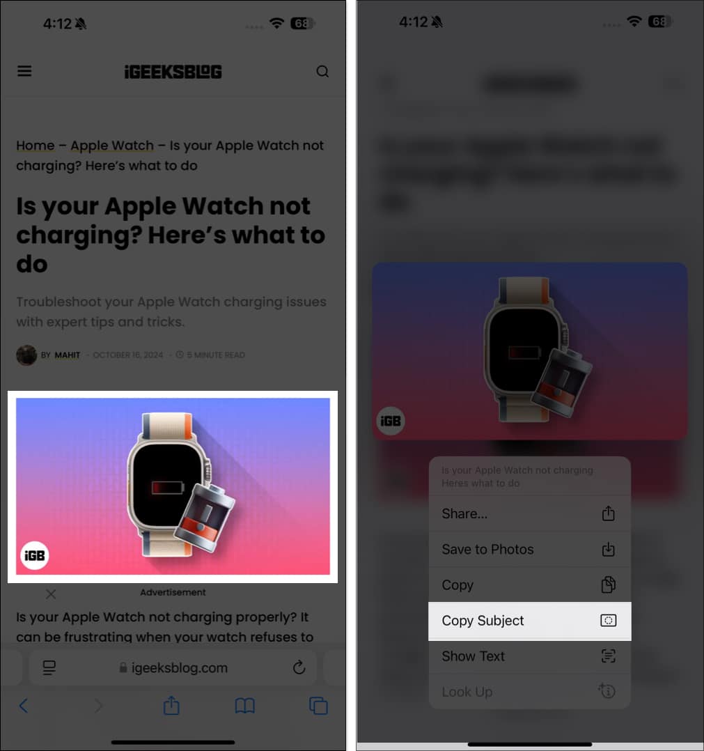 Copy Subject option in the context menu upon selecting the subject of an image in the Safari app on an iPhone.