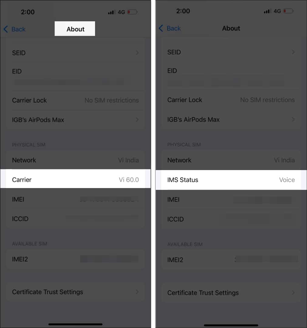 Checking carrier support for RCS messaging in iPhone Settings.