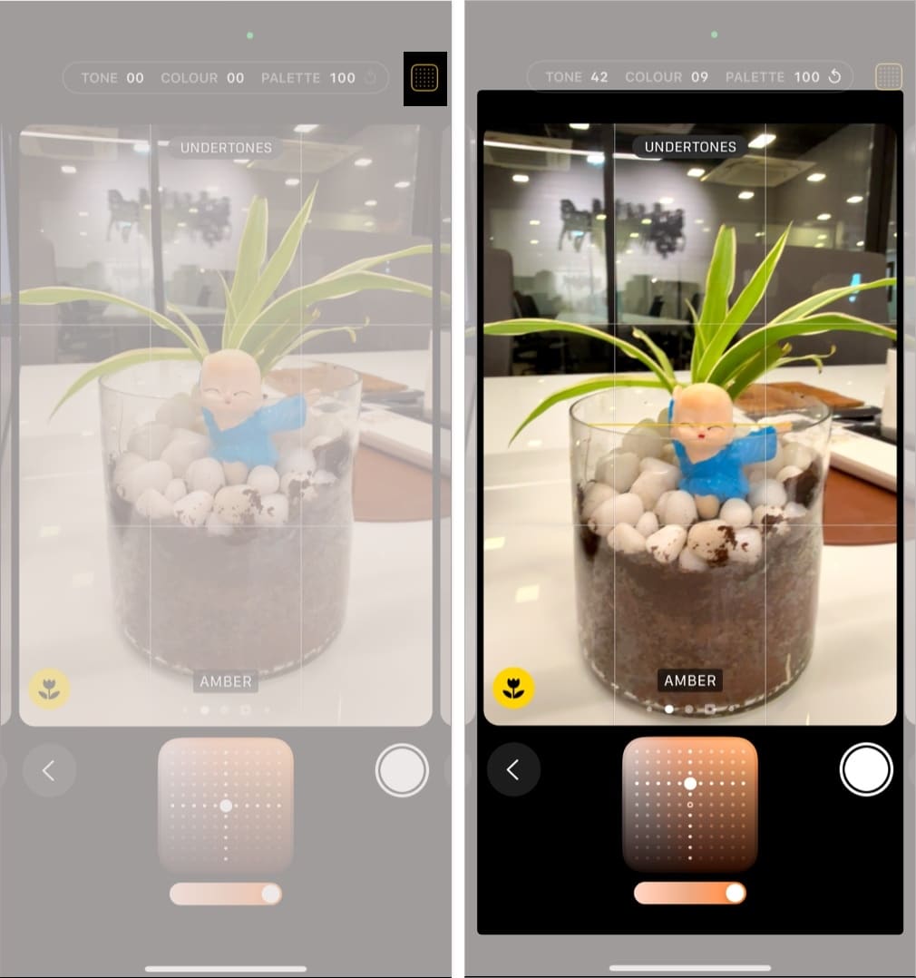 Tap on Photographic Styles icon Drag your finger on slider to adjust tone and color.