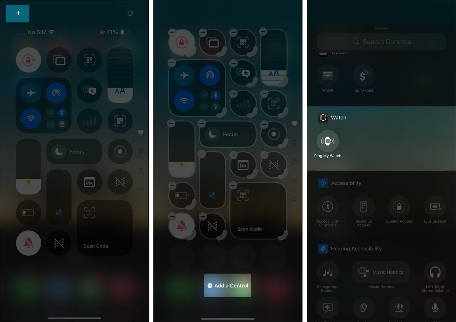 Tap on Ping My Watch from iPhone Control center.