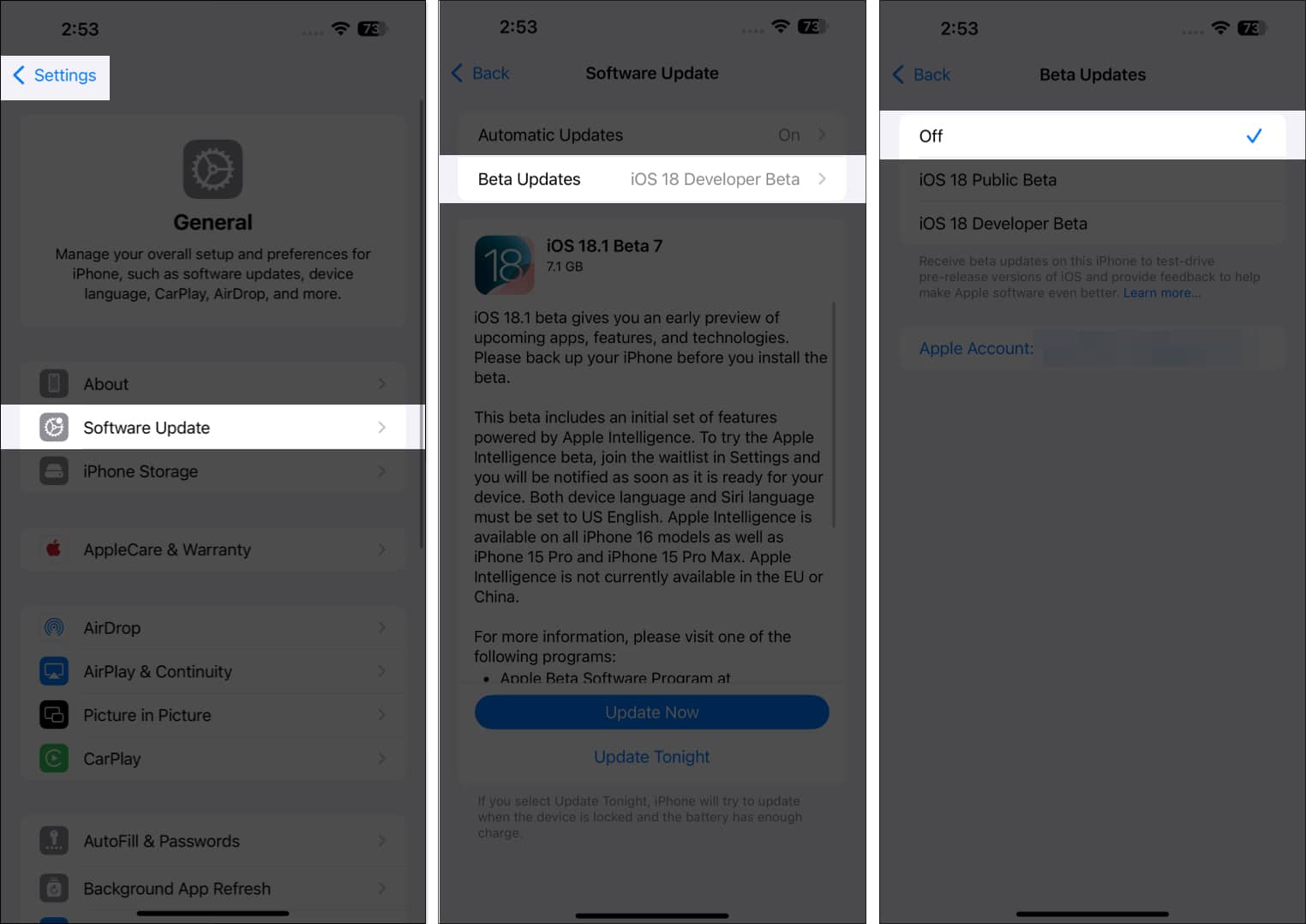 Toggling off iOS 18 beta updates on an iPhone.