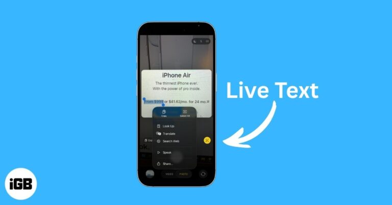 Use Live Text on iPhone