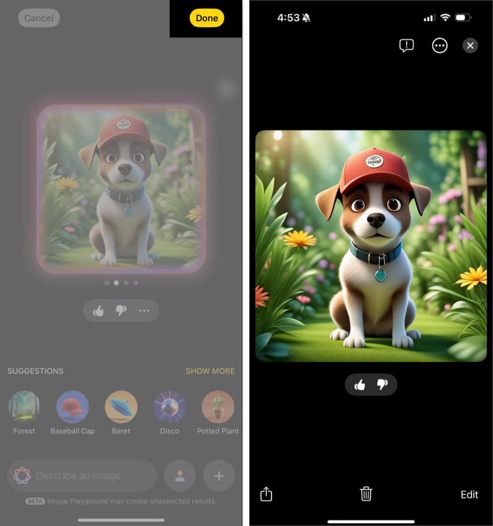 Seeing all the generated images in the Image Playground app.