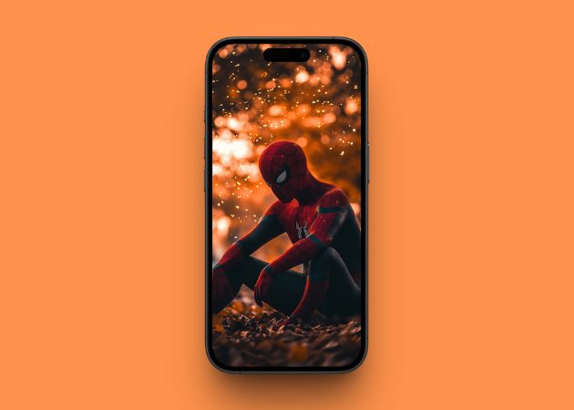 Spiderman in flames wallpaper