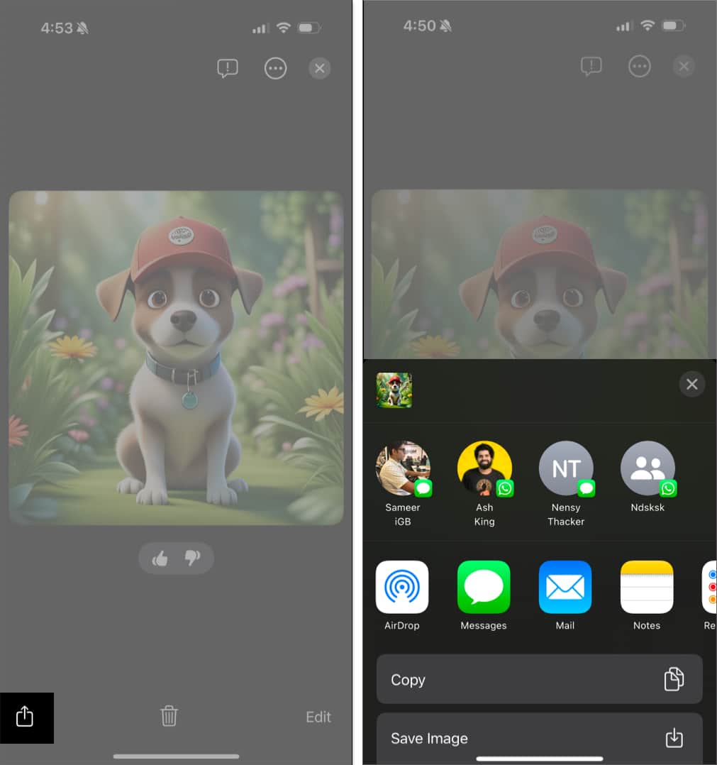 Share Sheet in the Image Playground app on an iPhone.