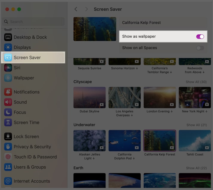 Enabling the Show as Wallpaper option for the Screensaver feature on a Mac.