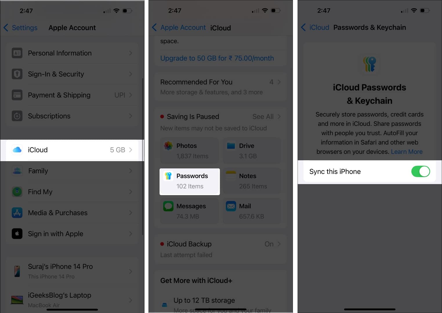 Enabling iCloud sync for the Passwords app on an iPhone.