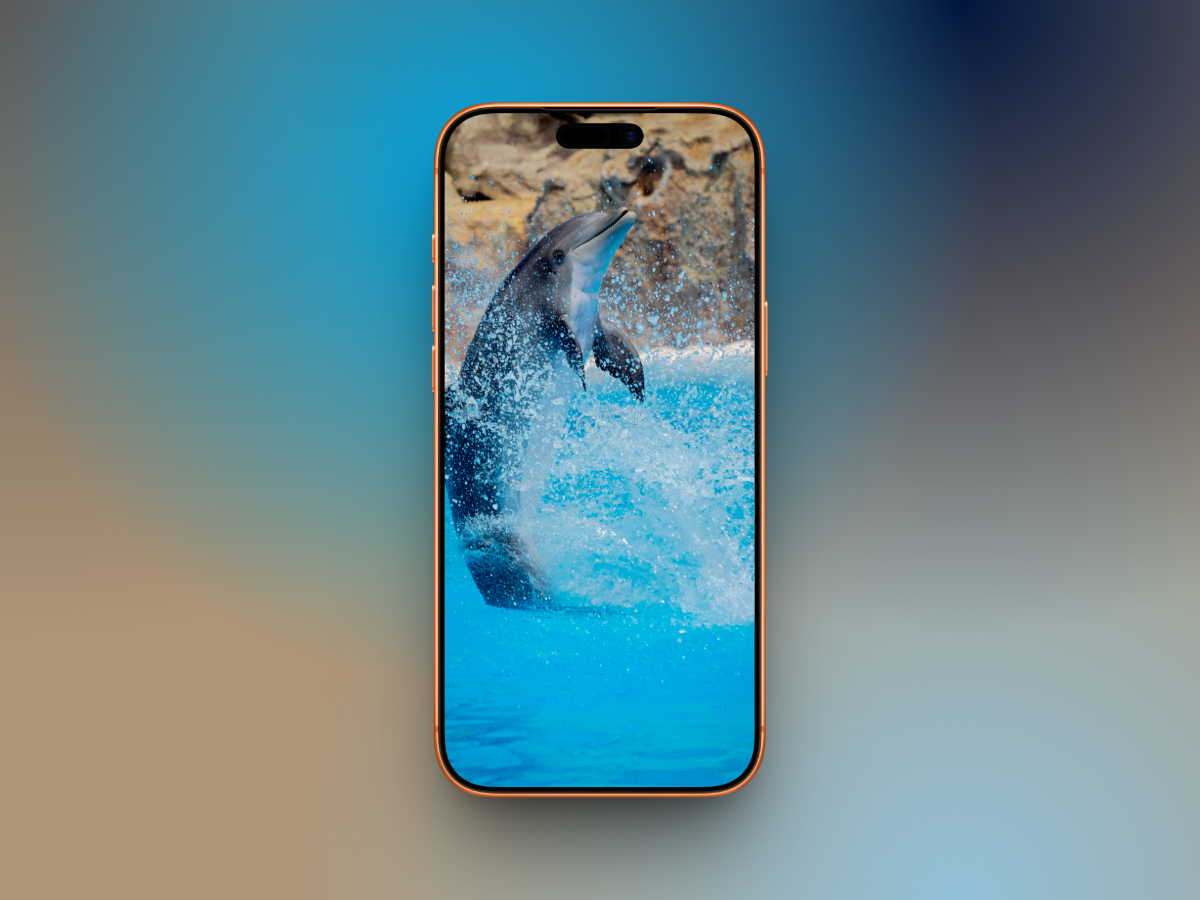 20 Aesthetic Ocean Wallpapers for iPhone in 4K – iGeeksBlog Jumping Dolphin